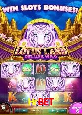 Security Systems Hrbet